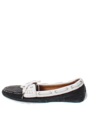 Γυναικεία παπούτσια Sebago, Μέγεθος 36, Χρώμα Μπλέ, Τιμή 39,20 €