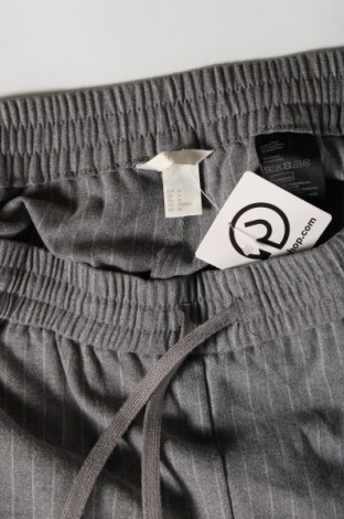 Damenhose H&M, Größe XL, Farbe Grau, Preis 9,81 €