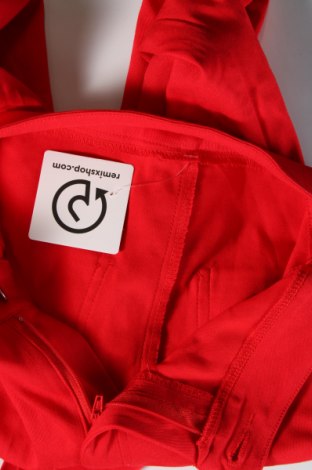 Damenhose SHEIN, Größe S, Farbe Rot, Preis € 7,60