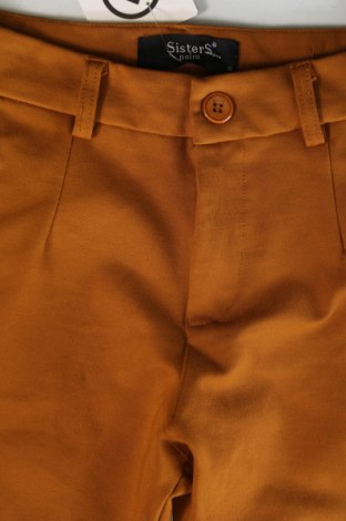 Pantaloni de femei Sisters Point, Mărime XS, Culoare Maro, Preț 20,23 Lei