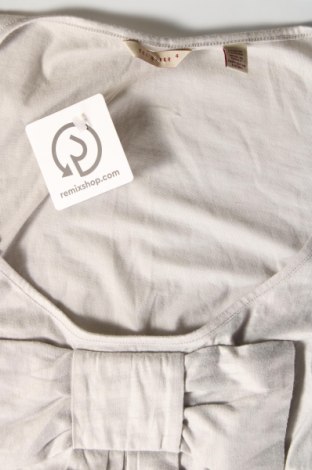 Γυναικείο αμάνικο μπλουζάκι Ted Baker, Μέγεθος L, Χρώμα Γκρί, Τιμή 16,44 €