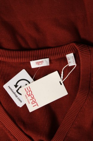 Γυναικείο πουλόβερ Esprit, Μέγεθος S, Χρώμα Καφέ, Τιμή 19,18 €
