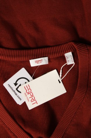 Damenpullover Esprit, Größe S, Farbe Braun, Preis € 14,99