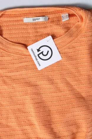Damenpullover Esprit, Größe M, Farbe Orange, Preis 5,14 €
