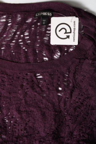 Γυναικείο πουλόβερ Express, Μέγεθος M, Χρώμα Βιολετί, Τιμή 3,80 €