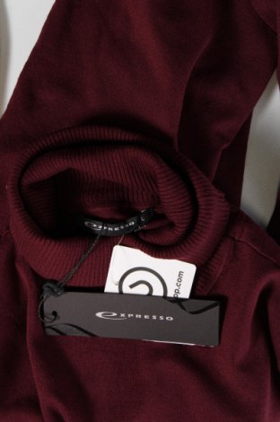 Γυναικείο πουλόβερ Expresso, Μέγεθος L, Χρώμα Κόκκινο, Τιμή 25,26 €