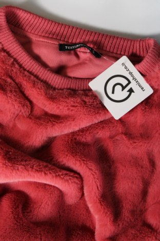 Damenpullover Terranova, Größe S, Farbe Rot, Preis € 6,68