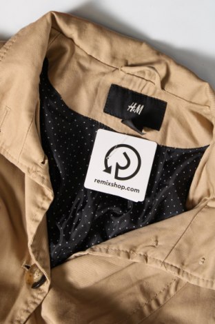 Damen Trenchcoat H&M, Größe M, Farbe Beige, Preis 20,88 €