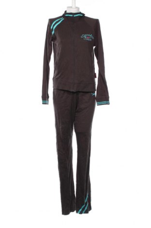 Damen Trainingsanzug, Größe L, Farbe Braun, Preis 37,58 €
