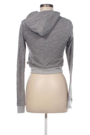 Damen Sweatshirt Abercrombie & Fitch, Größe XS, Farbe Grau, Preis € 18,37