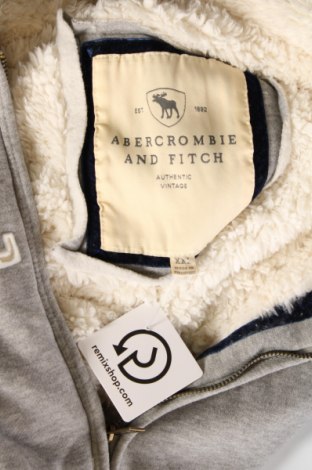 Damen Sweatshirt Abercrombie & Fitch, Größe XXL, Farbe Grau, Preis 33,40 €