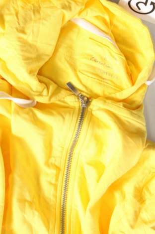 Damen Sweatshirt Christian Berg, Größe XXL, Farbe Gelb, Preis 18,79 €