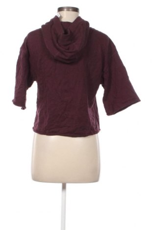 Damen Sweatshirt DKNY, Größe XS, Farbe Lila, Preis 42,80 €