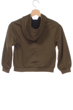 Damen Sweatshirt Diadora, Größe S, Farbe Grün, Preis € 8,35