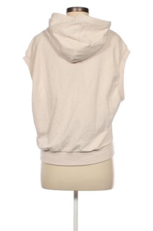 Damen Sweatshirt Essentials by Tchibo, Größe M, Farbe Beige, Preis 8,07 €