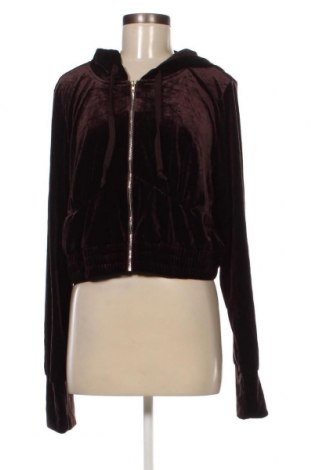 Damen Sweatshirt Fashion nova, Größe XXL, Farbe Braun, Preis 11,20 €