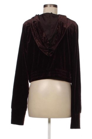 Damen Sweatshirt Fashion nova, Größe XXL, Farbe Braun, Preis 11,20 €
