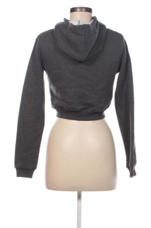 Damen Sweatshirt Nly Trend, Größe XS, Farbe Grau, Preis 5,05 €