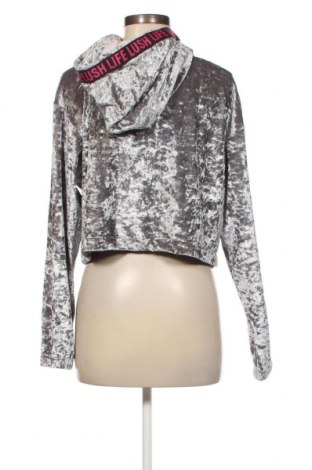 Damen Sweatshirt Zara Larsson, Größe M, Farbe Grau, Preis € 4,45