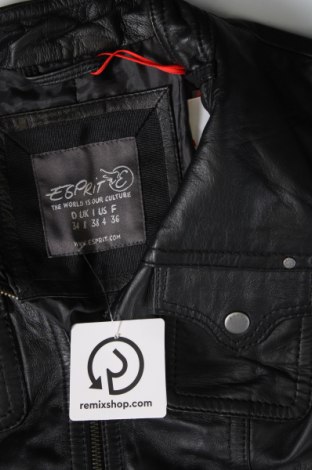 Damen Lederjacke Esprit, Größe XS, Farbe Schwarz, Preis 89,73 €
