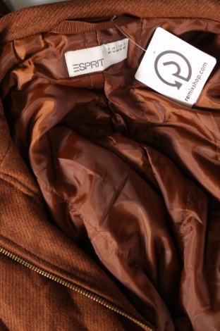 Γυναικείο παλτό Esprit, Μέγεθος M, Χρώμα Καφέ, Τιμή 26,06 €