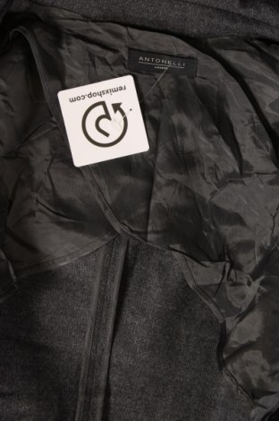 Γυναικείο σακάκι Antonelli, Μέγεθος M, Χρώμα Γκρί, Τιμή 15,40 €