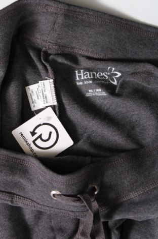 Damen Sporthose Hanes, Größe XL, Farbe Grau, Preis 7,11 €
