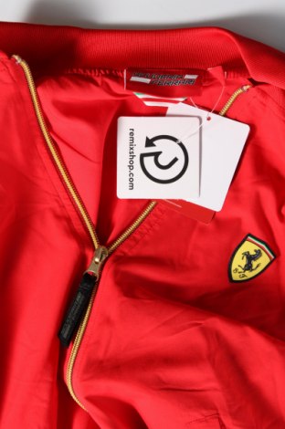 Dámska bunda , Veľkosť S, Farba Červená, Cena  46,72 €