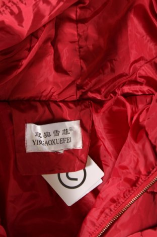 Dámska bunda , Veľkosť M, Farba Červená, Cena  13,81 €