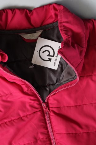Dámska bunda , Veľkosť M, Farba Ružová, Cena  20,24 €