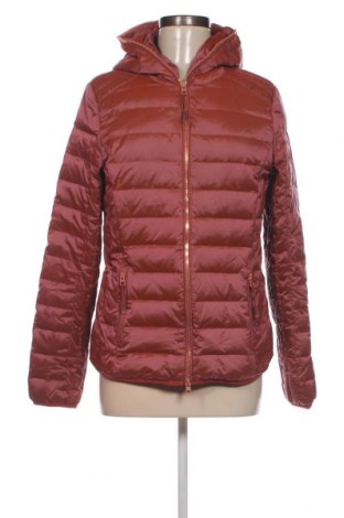 Damenjacke Cecil, Größe S, Farbe Rot, Preis 26,03 €