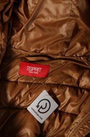 Dámska bunda  Esprit, Veľkosť L, Farba Béžová, Cena  36,35 €