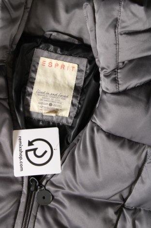 Dámska bunda  Esprit, Veľkosť M, Farba Sivá, Cena  24,24 €