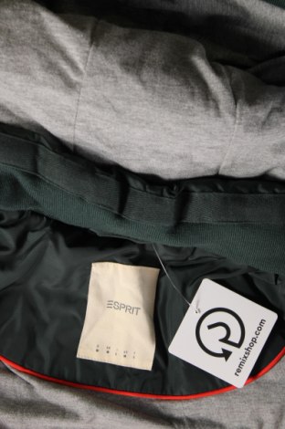Dámska bunda  Esprit, Veľkosť M, Farba Zelená, Cena  25,52 €