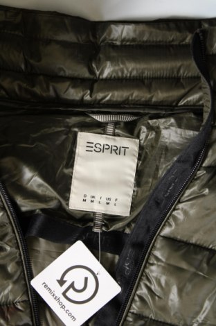 Dámská bunda  Esprit, Velikost M, Barva Zelená, Cena  1 084,00 Kč