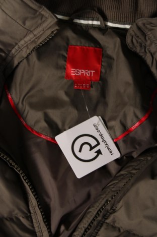 Dámska bunda  Esprit, Veľkosť M, Farba Zelená, Cena  23,39 €