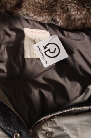 Γυναικείο μπουφάν Esprit, Μέγεθος M, Χρώμα Γκρί, Τιμή 27,74 €