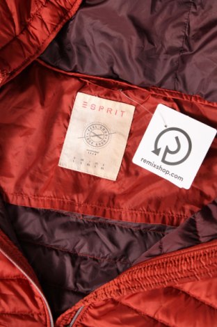 Dámska bunda  Esprit, Veľkosť L, Farba Hnedá, Cena  23,14 €