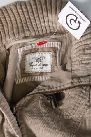 Γυναικείο μπουφάν Esprit de Corp, Μέγεθος XS, Χρώμα  Μπέζ, Τιμή 25,55 €