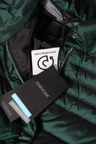 Damenjacke Geox, Größe M, Farbe Grün, Preis € 62,78