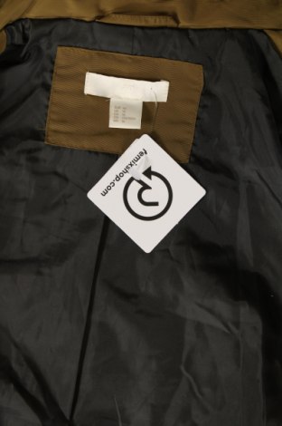 Damenjacke H&M, Größe XL, Farbe Grün, Preis € 12,11