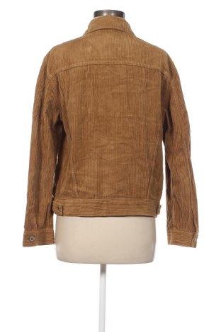 Damenjacke Mango, Größe M, Farbe Beige, Preis 15,99 €