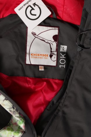 Γυναίκειο μπουφάν για χειμερινά σπορ Chiemsee, Μέγεθος L, Χρώμα Γκρί, Τιμή 21,71 €
