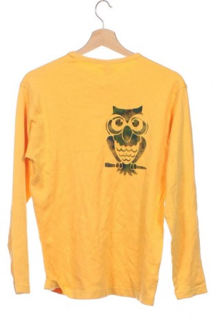 Παιδική μπλούζα Here+There, Μέγεθος 12-13y/ 158-164 εκ., Χρώμα Κίτρινο, Τιμή 2,18 €