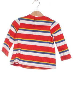 Dziecięca bluzka Original Marines, Rozmiar 9-12m/ 74-80 cm, Kolor Kolorowy, Cena 27,19 zł