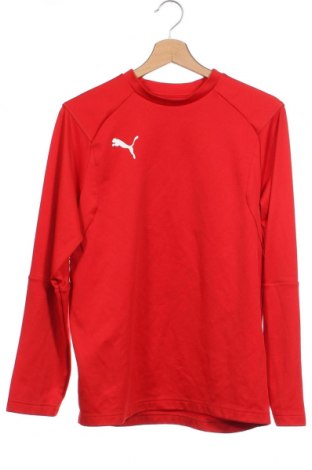 Kinder Shirt PUMA, Größe 15-18y/ 170-176 cm, Farbe Rot, Preis 16,28 €