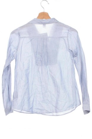 Kinder Shirt Zara Kids, Größe 11-12y/ 152-158 cm, Farbe Blau, Preis 7,00 €