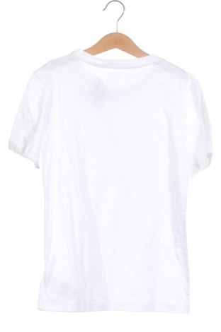 Kinder T-Shirt Calvin Klein, Größe 10-11y/ 146-152 cm, Farbe Weiß, Preis 26,29 €
