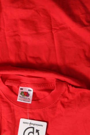Детска тениска Fruit Of The Loom, Размер 11-12y/ 152-158 см, Цвят Червен, Цена 12,00 лв.