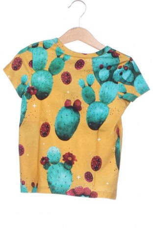 Dětské tričko  Igi, Velikost 18-24m/ 86-98 cm, Barva Vícebarevné, Cena  348,00 Kč